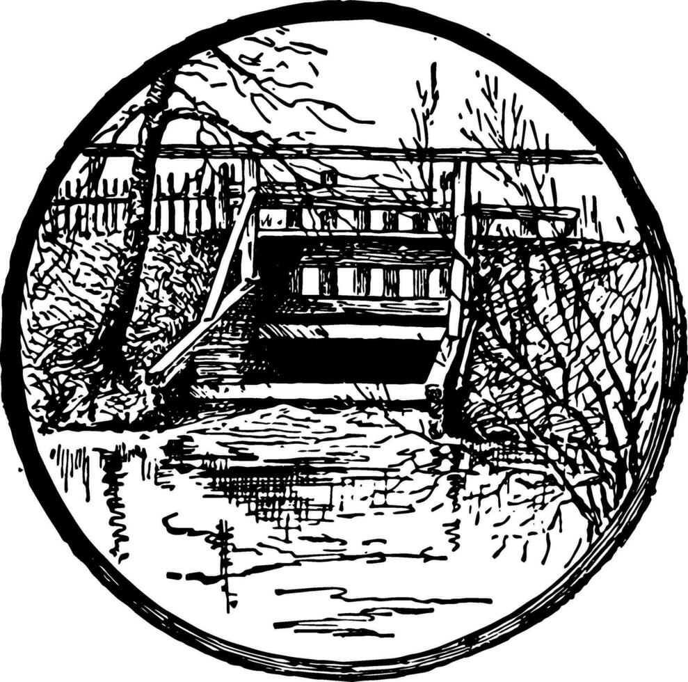 Cranberry Moor Auslauf Jahrgang Illustration. vektor