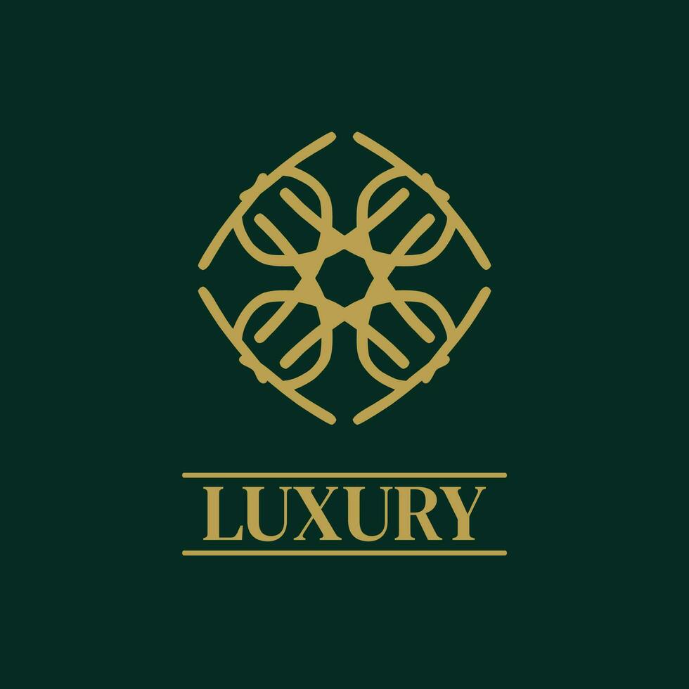 Mandala geometrisch Ornament Logo elegant Prämie Symbol Vektor Design