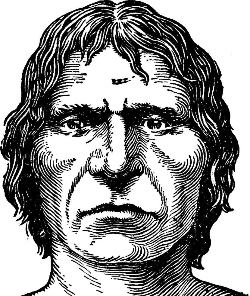 cro-magnon man, årgång illustration vektor