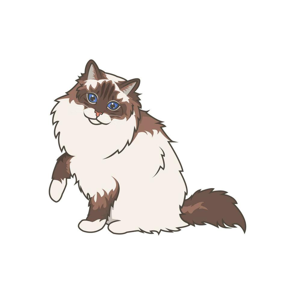 entdecken bezaubernd Ragdoll Kätzchen. diese hohe Qualität Abbildungen verströmen Niedlichkeit, perfekt zum haustierbezogen Entwürfe. einfach Illustration von Ragdoll Katze. eps10 vektor