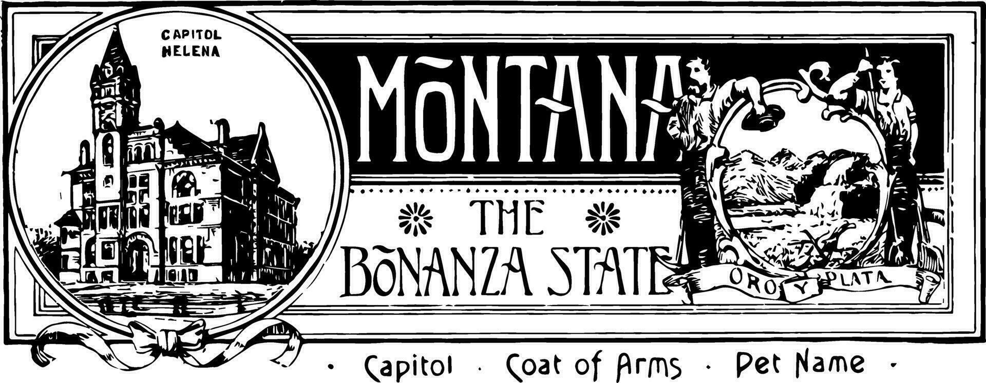 de stat baner av montana de bonanza stat årgång illustration vektor