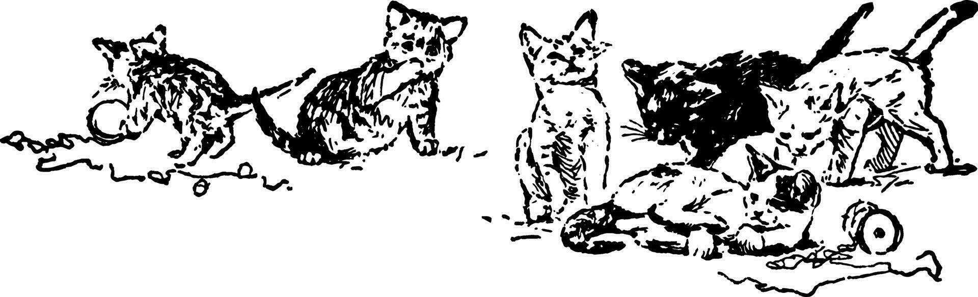 sechs Katzen, Jahrgang Illustration. vektor