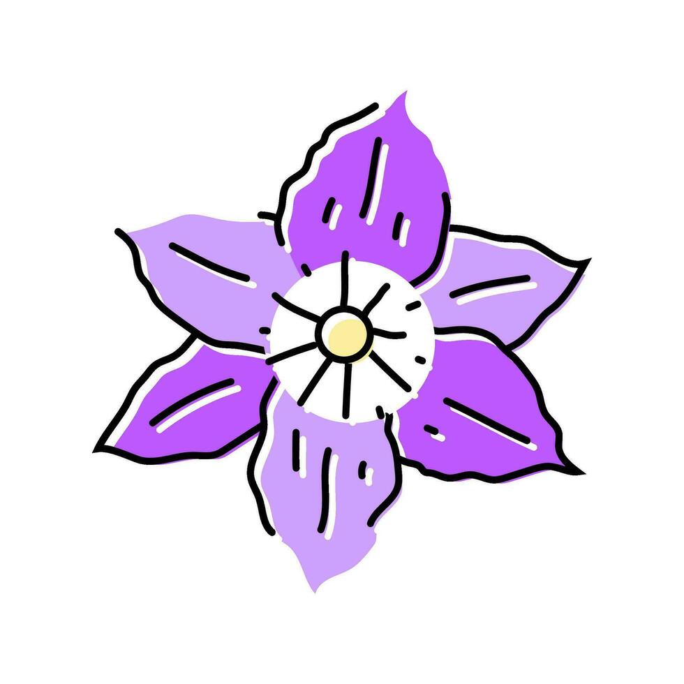 Klematis Blume Frühling Farbe Symbol Vektor Illustration