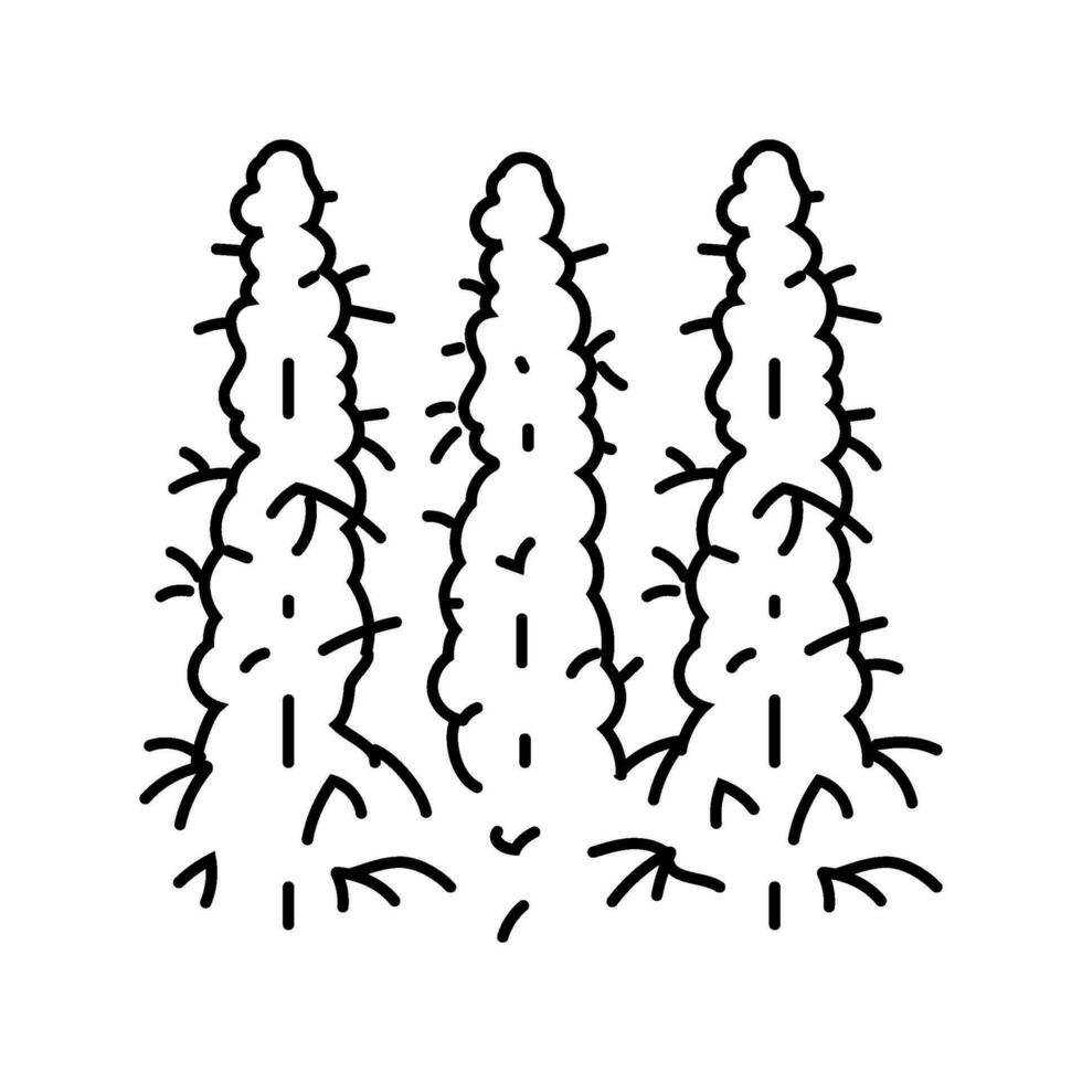 Cannabis Feld Linie Symbol Vektor Illustration