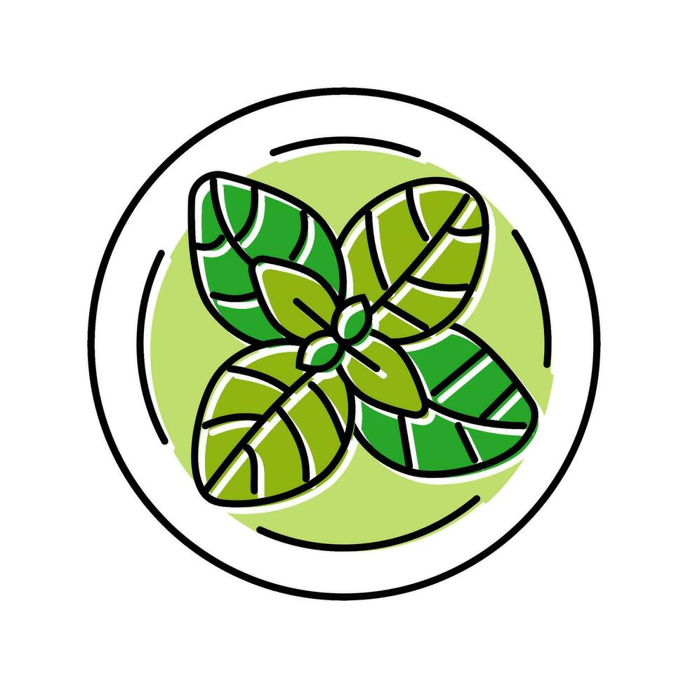 Basilikum kosmetisch Pflanze Farbe Symbol Vektor Illustration