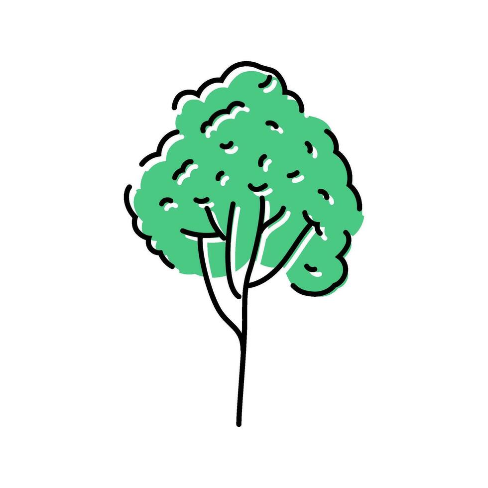 Gummi Baum Urwald Amazonas Farbe Symbol Vektor Illustration