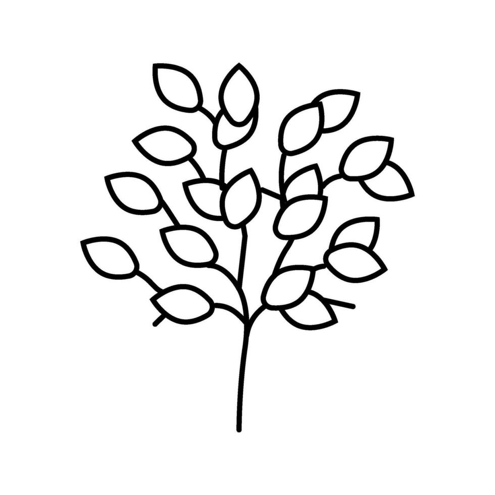 Sakaki Baum Ast Schintoismus Linie Symbol Vektor Illustration