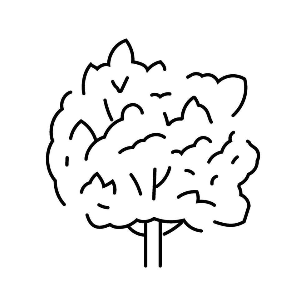 Macadamia Baum Urwald Amazonas Linie Symbol Vektor Illustration