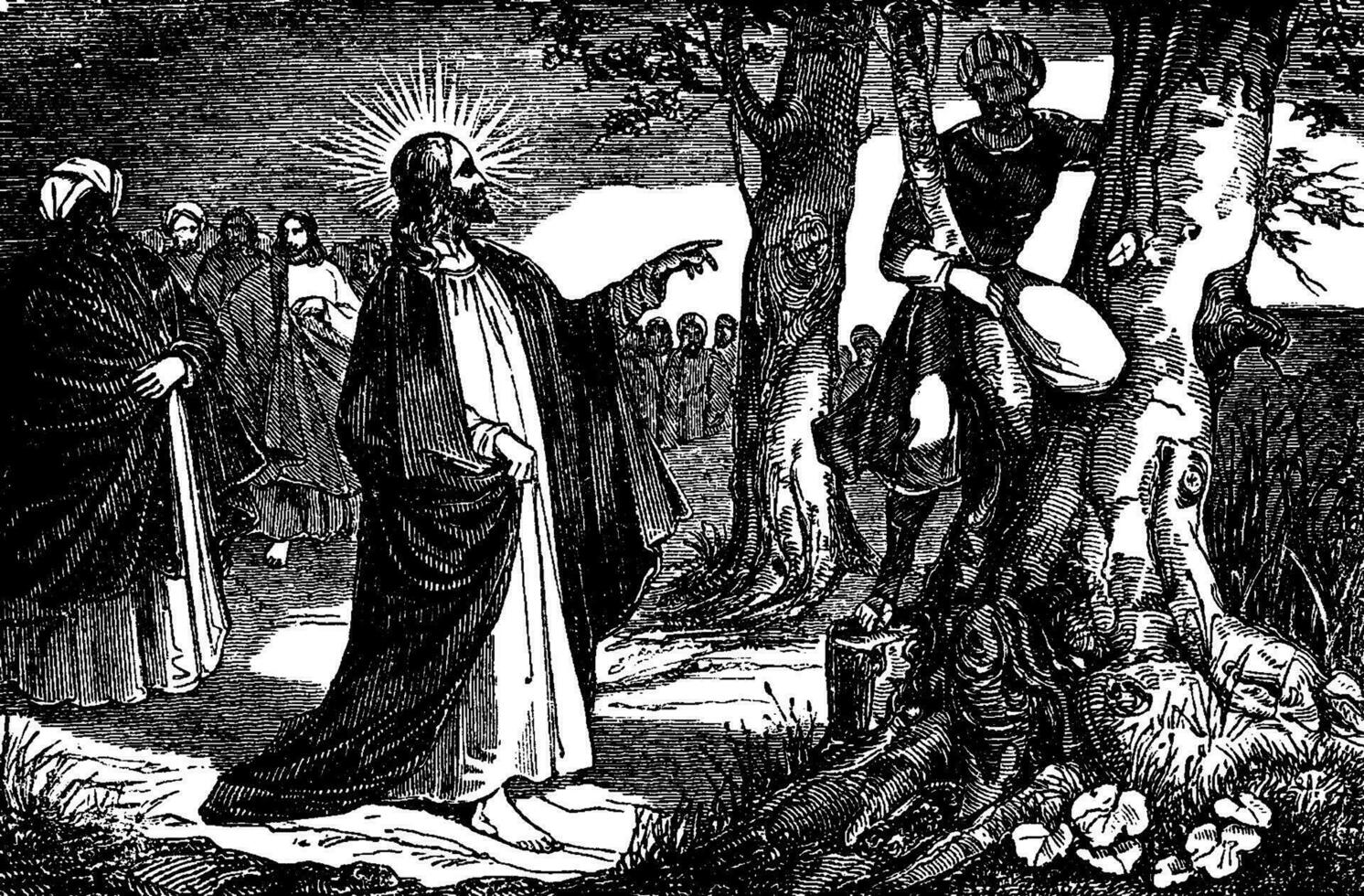 Jesus talar till sackaios de beskatta samlare årgång illustration. vektor