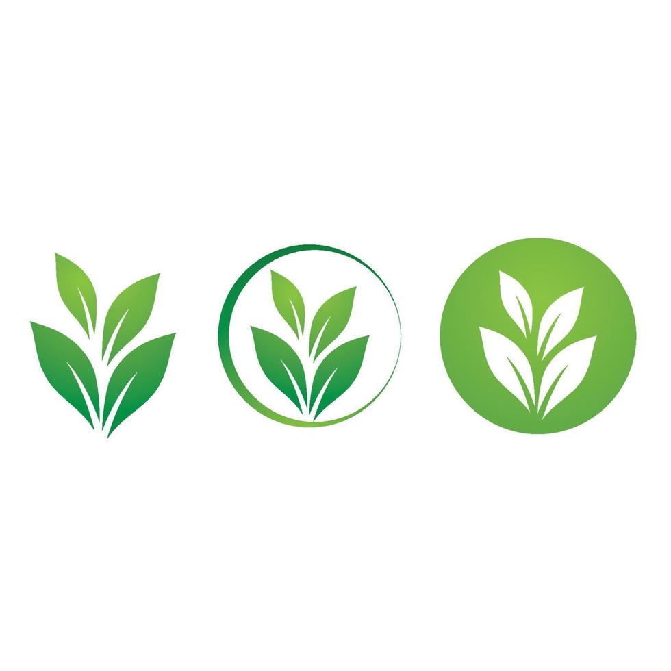 bladgrön logotyp och symbolmall vektor gratis