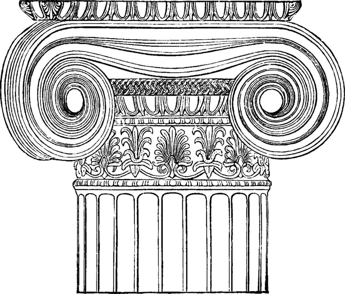 jonisk vinkel kolumn, tempel av minerva polias på aten, årgång gravyr. vektor