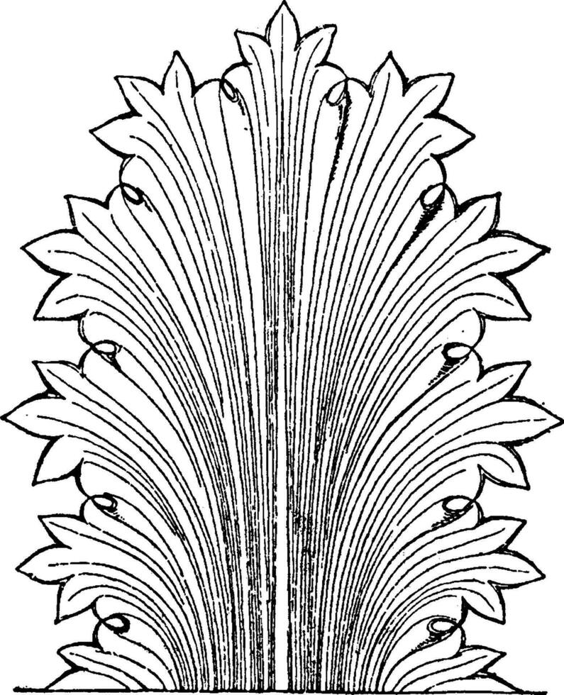 grekisk blad har spetsig bladkanter, årgång gravyr. vektor