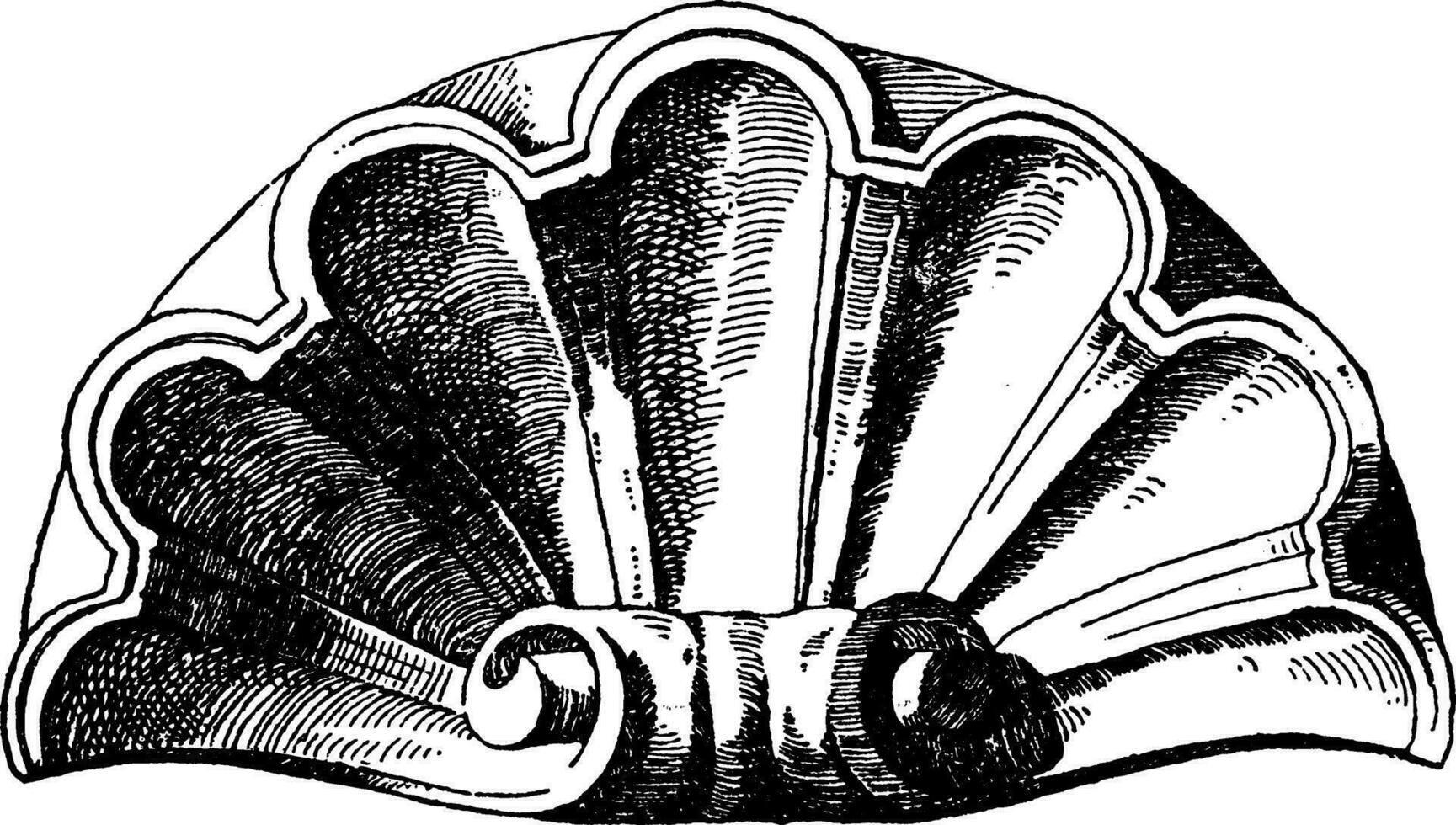 Jakobsmuschel Design Schale war benutzt wie ein Dekoration von ein Nische, Jahrgang Gravur. vektor