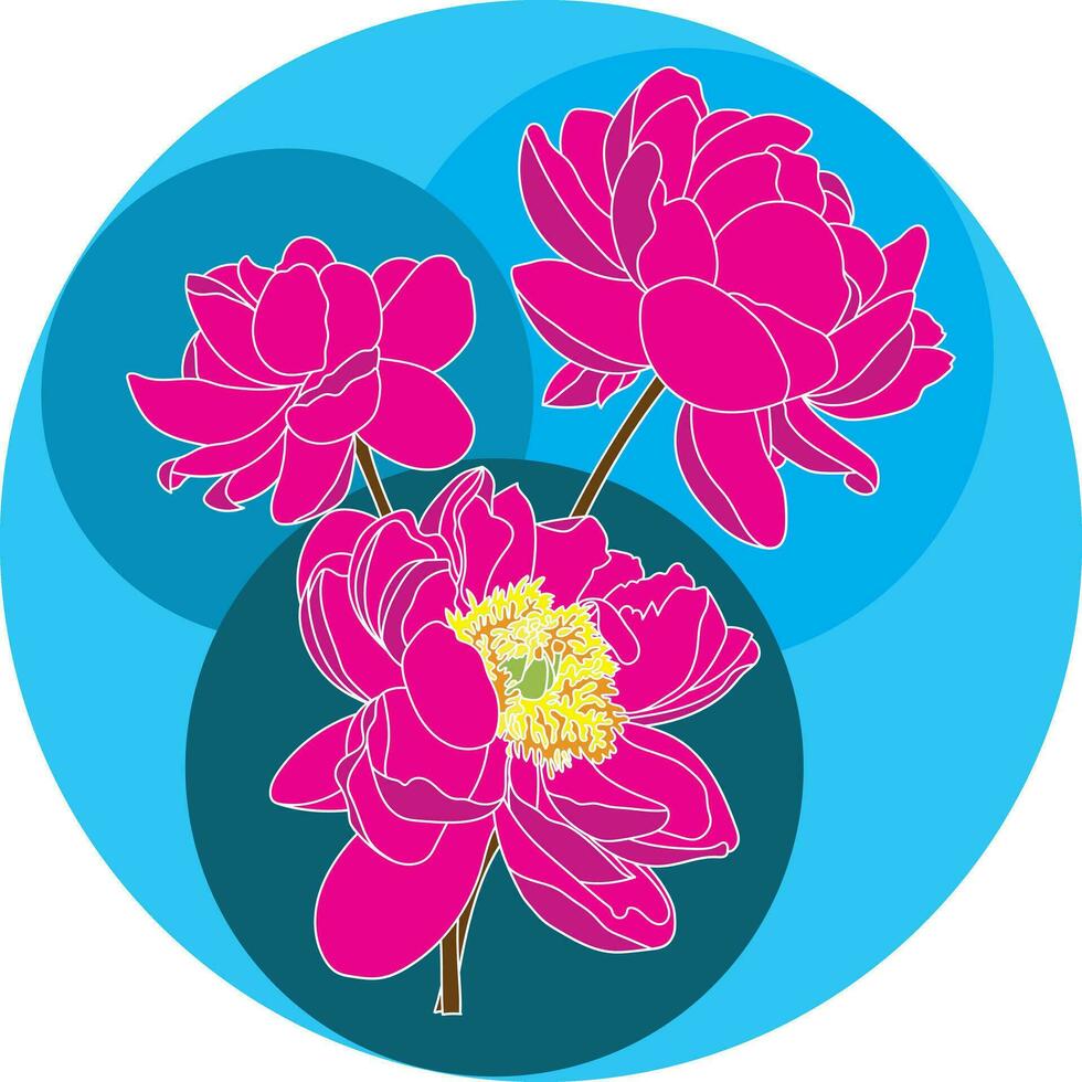illustration av rosa pion blomma med blå cirkel bakgrund. vektor