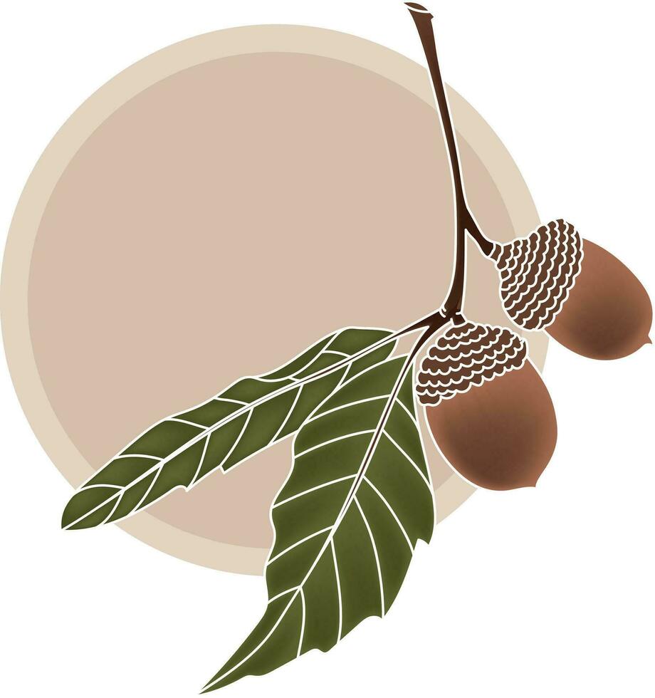 Illustration von Eiche Obst mit Blätter auf Sanft braun Kreis Hintergrund. vektor