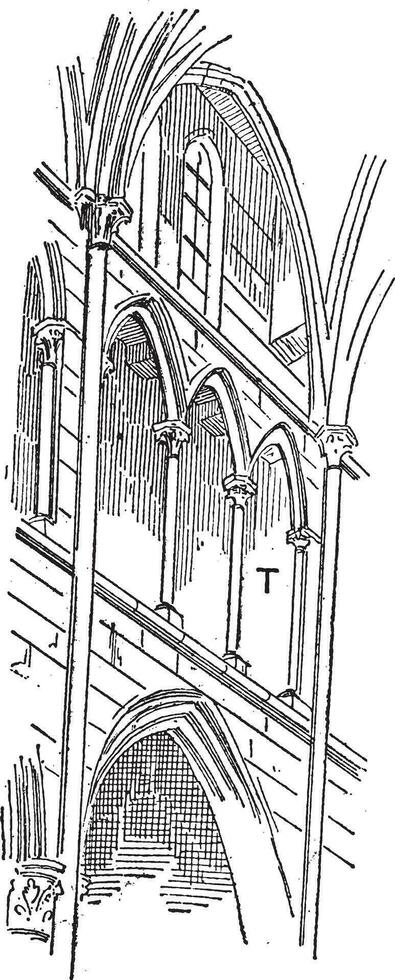 triforium, årgång gravyr. vektor