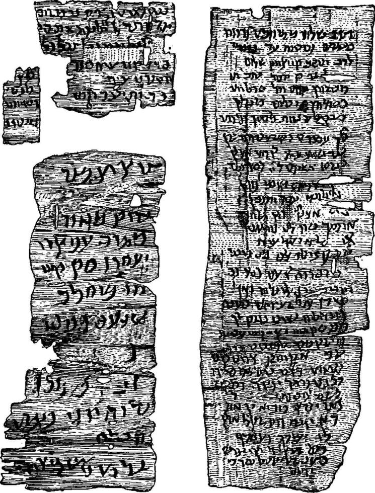 gammal hebré manuskript, årgång illustration. vektor
