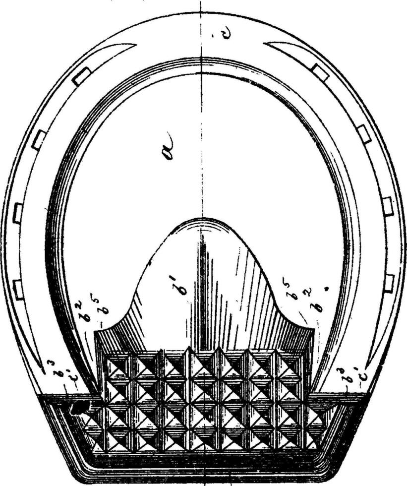 hästsko vaddera, årgång illustration. vektor