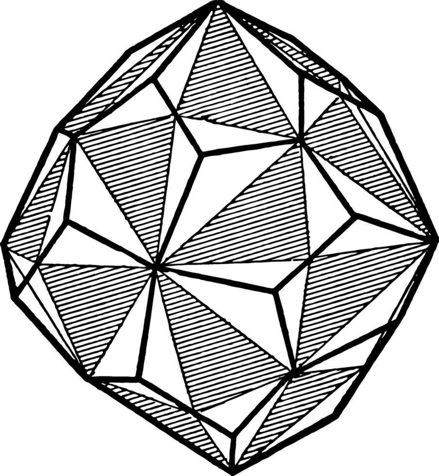 vänster räckte femsidig icositetrahedron, årgång illustration. vektor