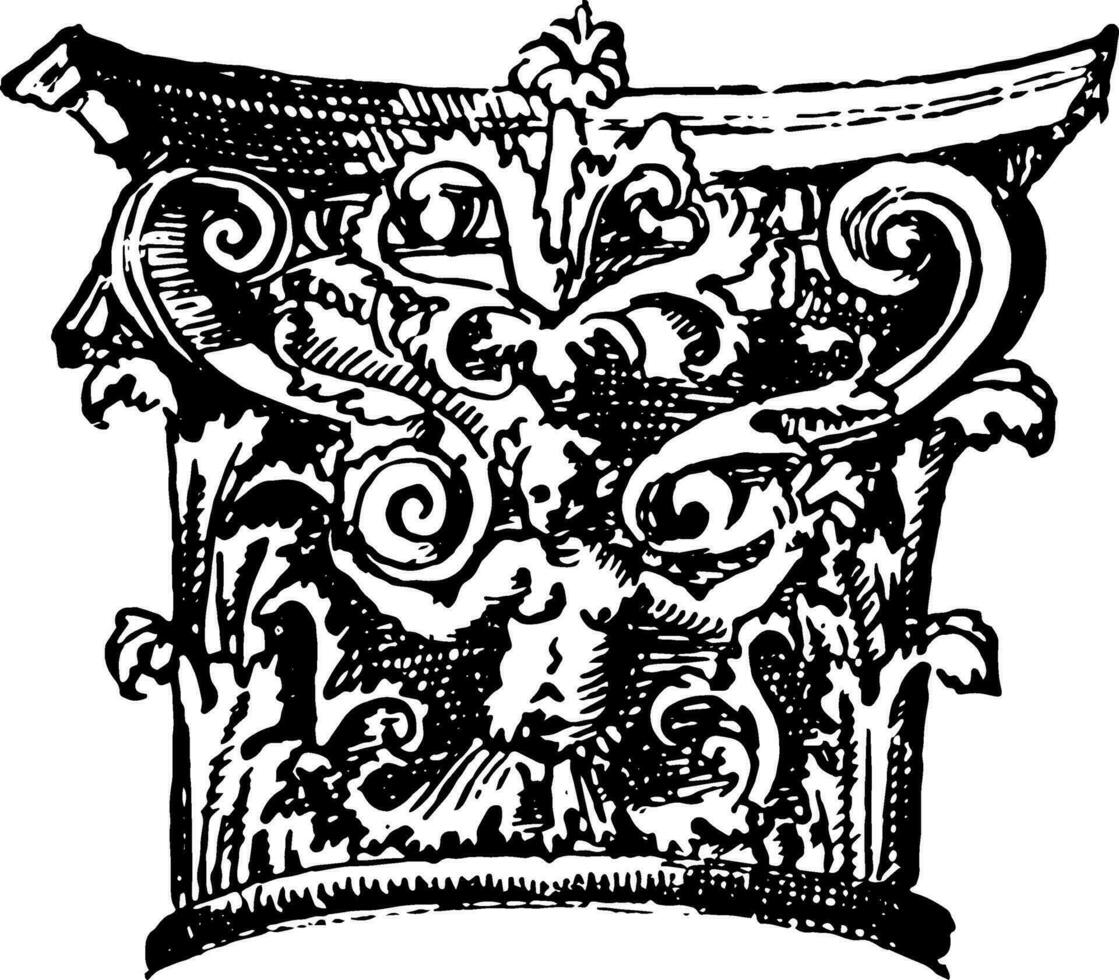 antic Ornamente Jahrgang Gravur. vektor