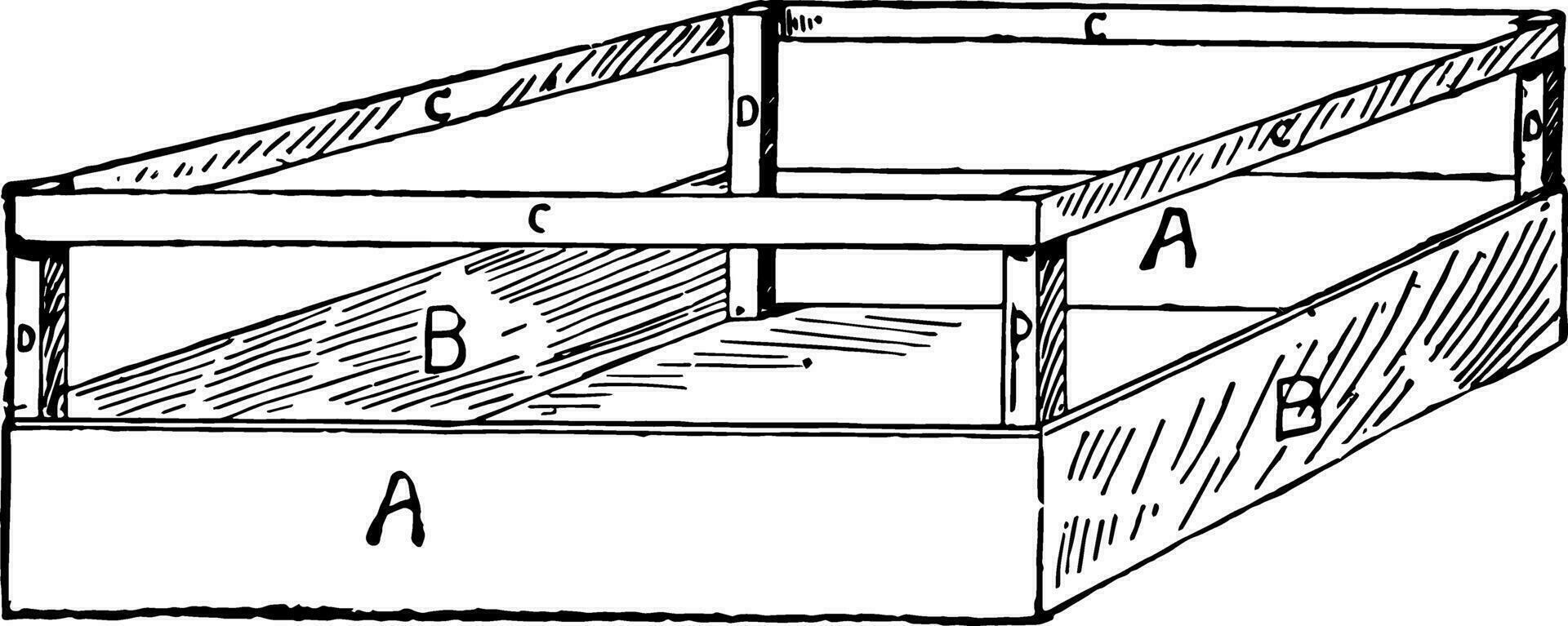 Sellerie Kiste Jahrgang Illustration. vektor