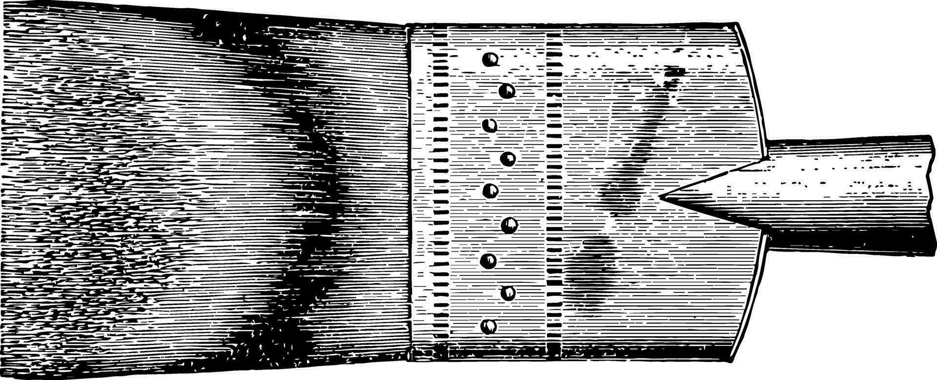 grävling hår strömmande borsta årgång illustration. vektor