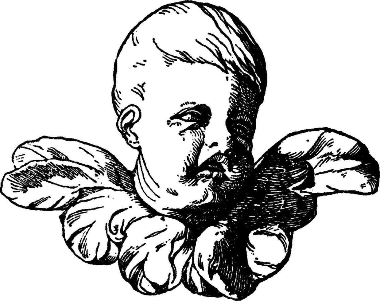 ful kerub huvud är en barock stil den där var hittades på en kolumn i Wien, årgång gravyr. vektor