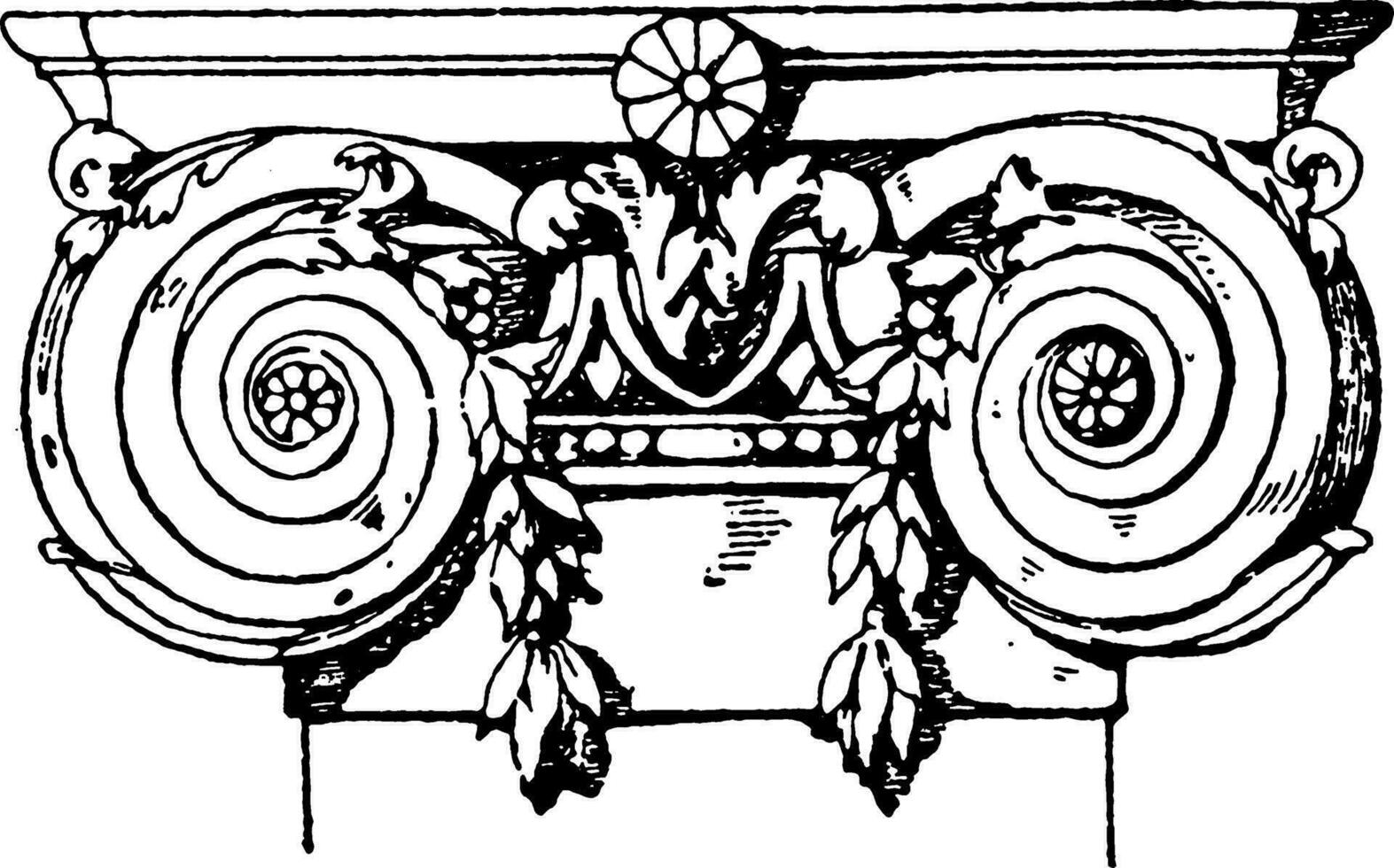 ionisch Pilaster Hauptstadt, Voluten, Jahrgang Gravur. vektor