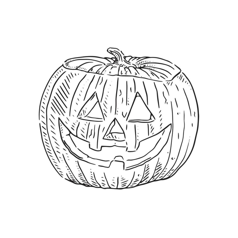 ein Hand gezeichnet Kürbislaterne oder geschnitzt Kürbis illustriert im schwarz und Weiß. perfekt zum ein Halloween thematisch Artikel. vektor