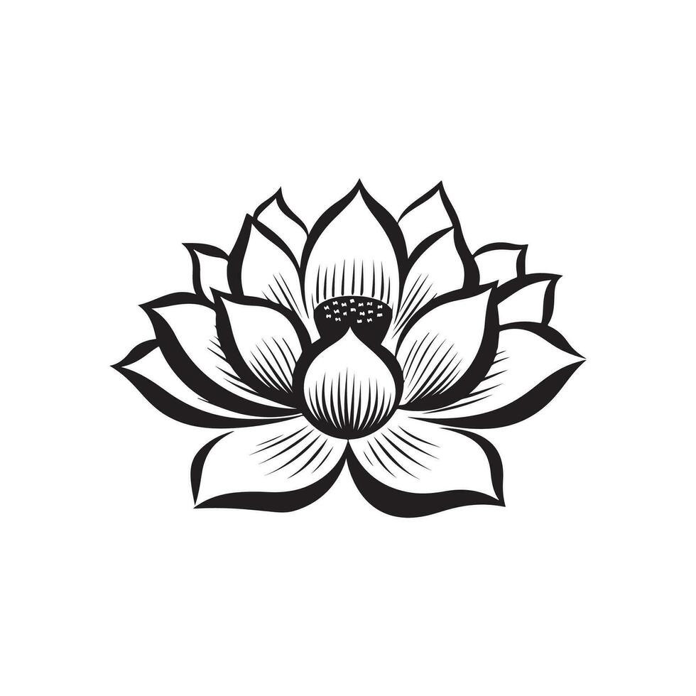 Lotus Blume Vektor, Design, Kunst und Illustration vektor