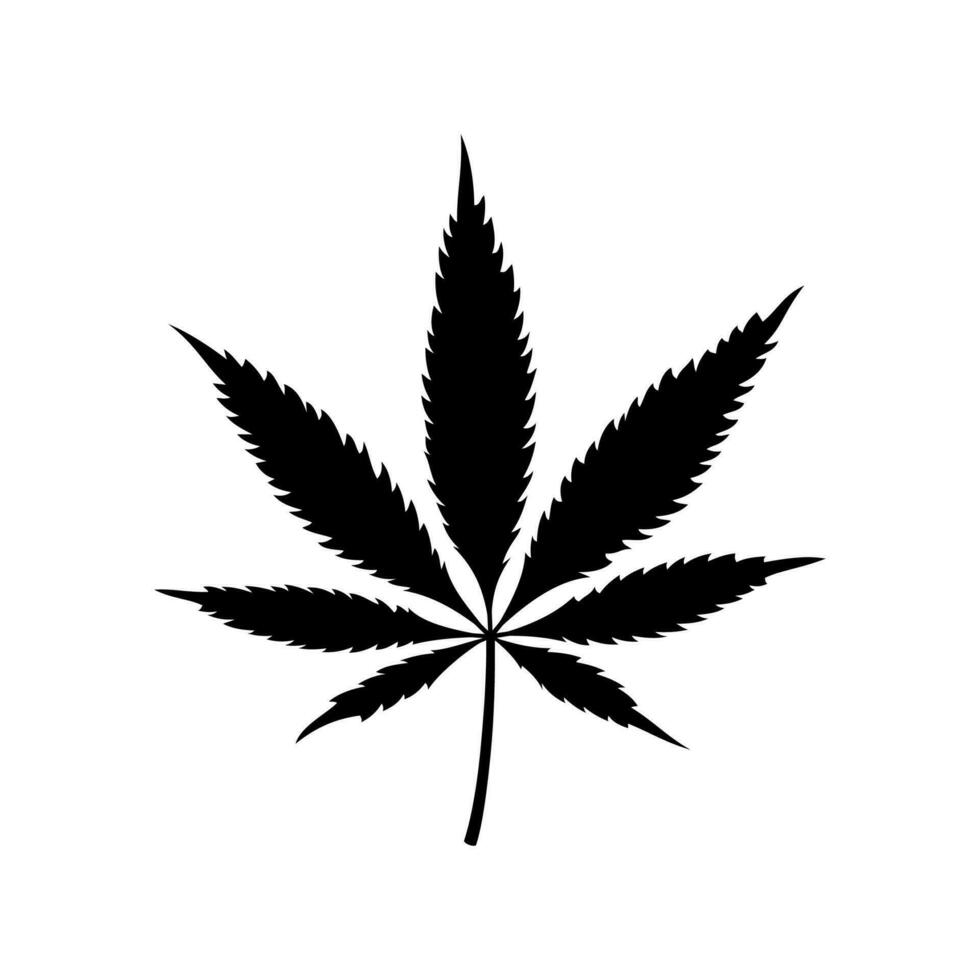 Marihuana Blatt Symbol isoliert auf Weiß Hintergrund. medizinisch Cannabis Pflanze Symbol, Kräuter- Indica Sativa. natürlich Hanf. Sucht Rauch Gras Drogen illegal Betäubungsmittel. Vektor Illustration.