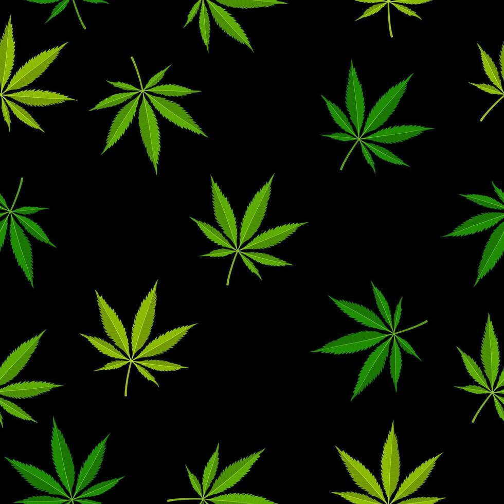 Marihuana Blatt nahtlos Muster. medizinisch Cannabis Anlage, Kräuter- Indica Sativa. natürlich Hanf Hintergrund. Sucht Rauch Gras Drogen illegal Betäubungsmittel. Vektor Illustration.