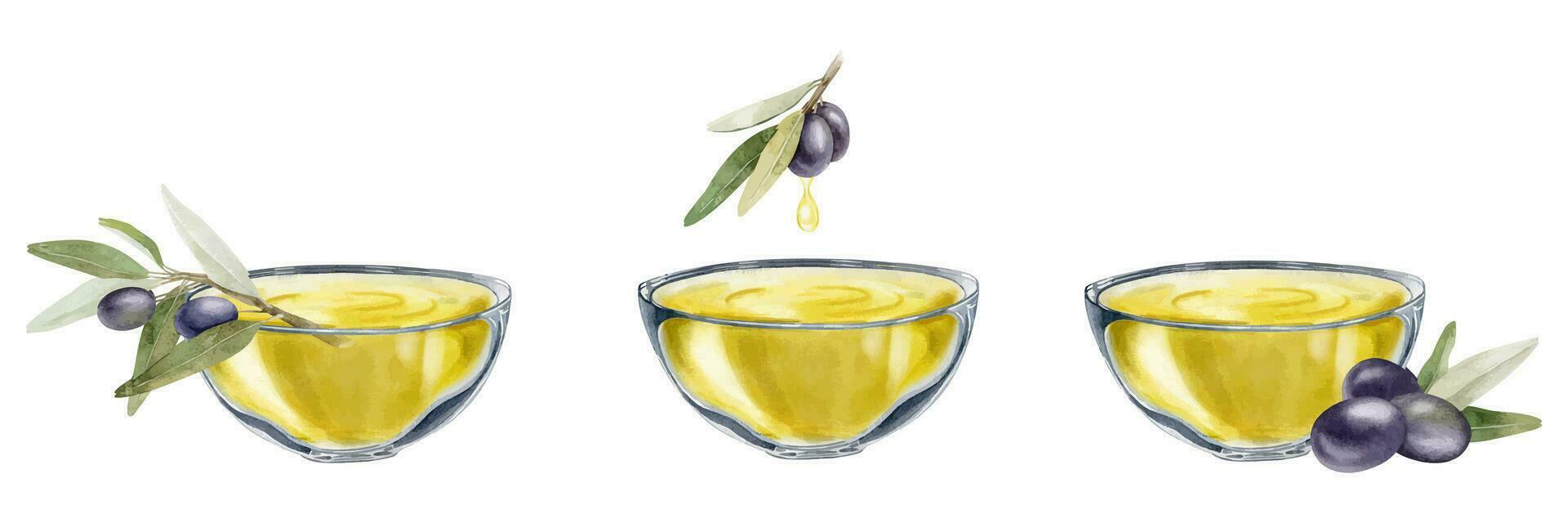 einstellen von Schalen von extra Jungfrau Olive Öl. Olive Baum Geäst, Blätter und Früchte. Vegetarier organisch Lebensmittel. isoliert Aquarell Hand gezeichnet Illustration zum Speisekarte, Verpackung Design vektor