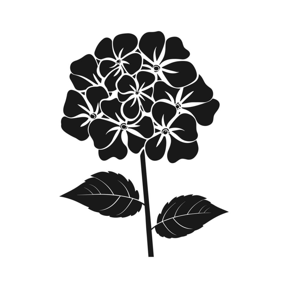 en hortensia blomma vektor silhuett fri