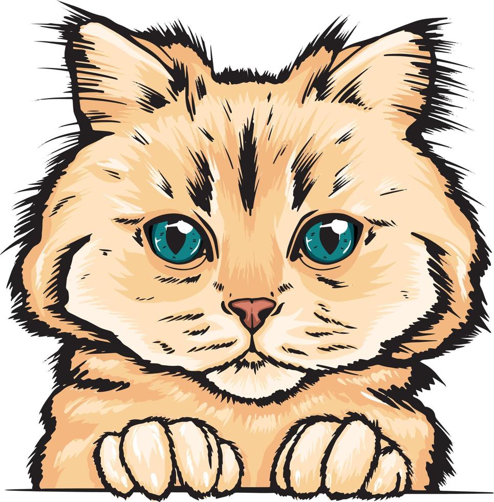 sibirische Katze. handgezeichnetes flauschiges Katzenporträt einer Katze. vektor