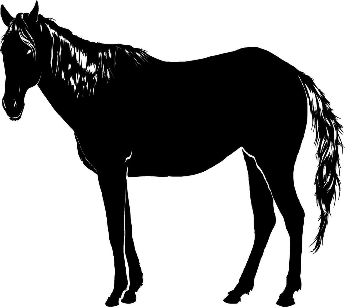 Pferd Silhouette Vektor auf Weiß Hintergrund