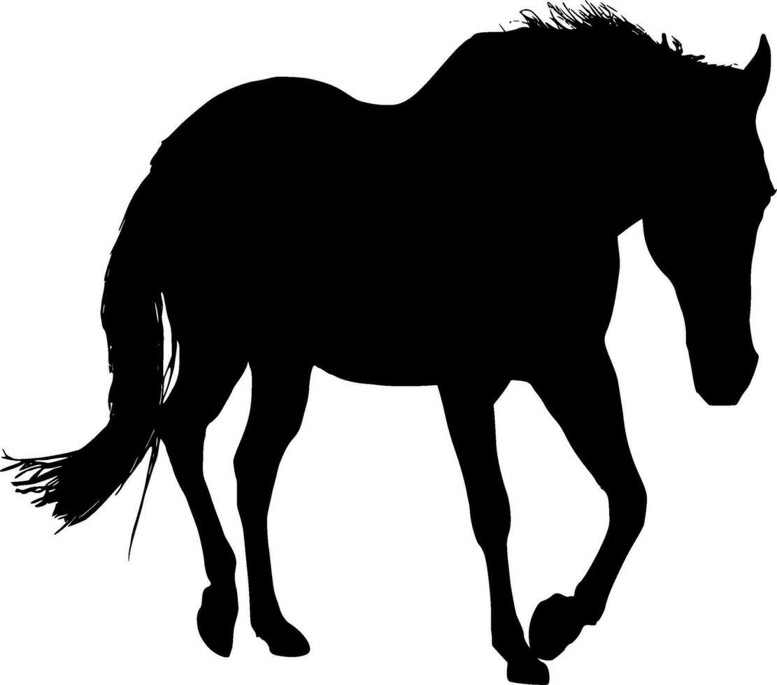 häst silhuett vektor på vit bakgrund