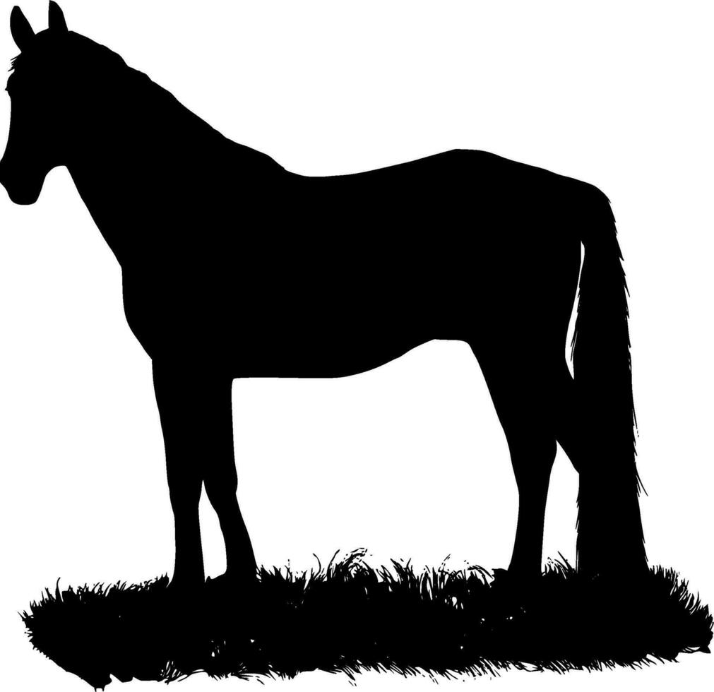 häst silhuett vektor på vit bakgrund