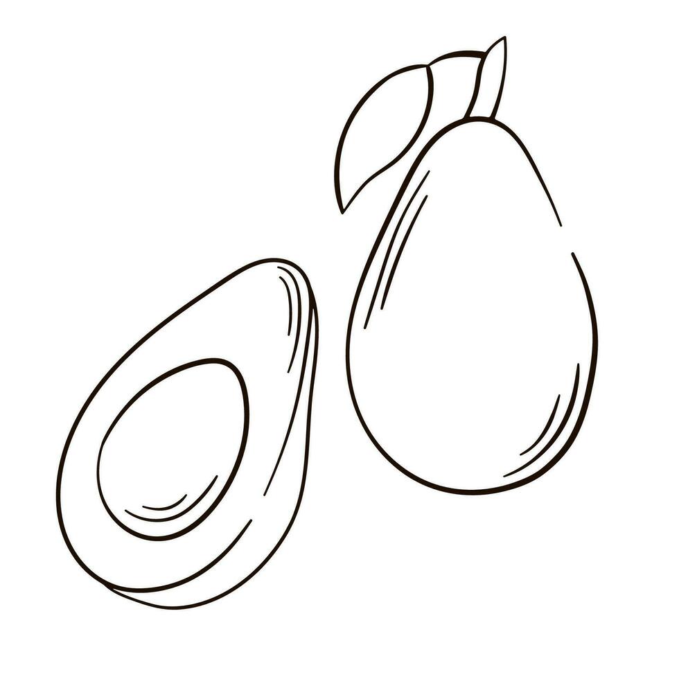 Avocado Obst Symbol Gliederung Essen Frucht. Vektor Hand gezeichnet Avocado. tropisch Sommer- Obst graviert Stil Illustration. großartig zum Etikett, Poster, drucken