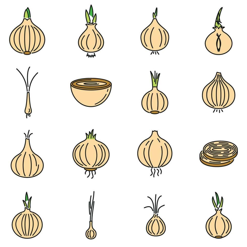 Essen Zwiebel Symbole einstellen Vektor Farbe