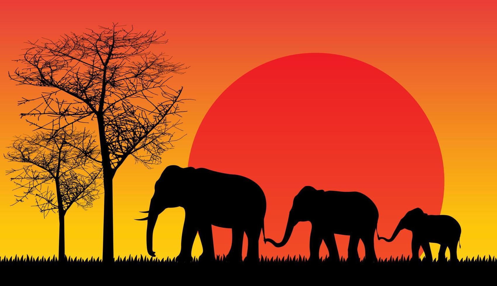 elefantskugga isolerad africa forest sunset safari vektor