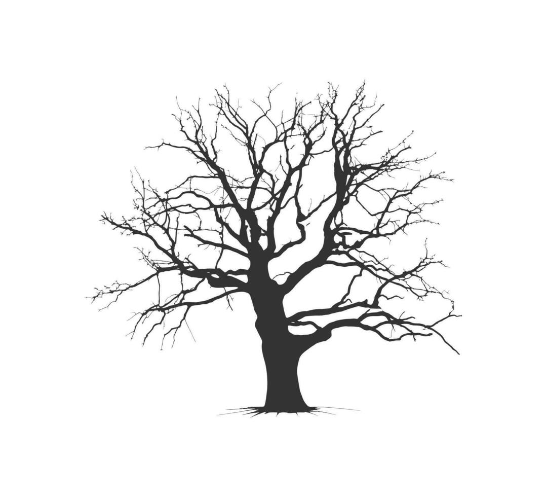 Silhouette Bonsai Baum Geäst Struktur Gestaltung. Vektor Illustration Design.