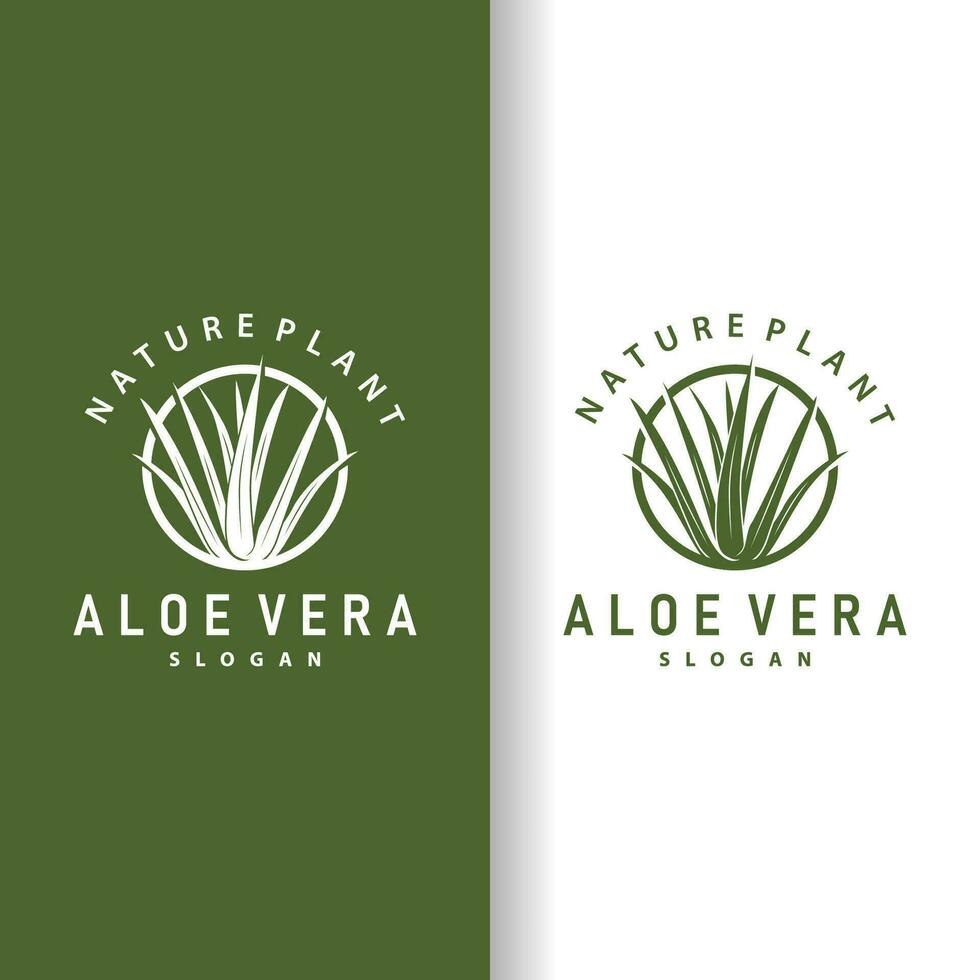 Aloe vera Logo Design einfach Illustration Gesundheit Kräuter- Pflanze Gras vektor