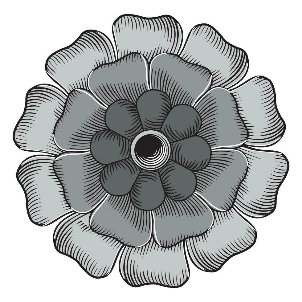 dekorativ Mandala Zier runden Muster isoliert auf Weiß Hintergrund Vektor