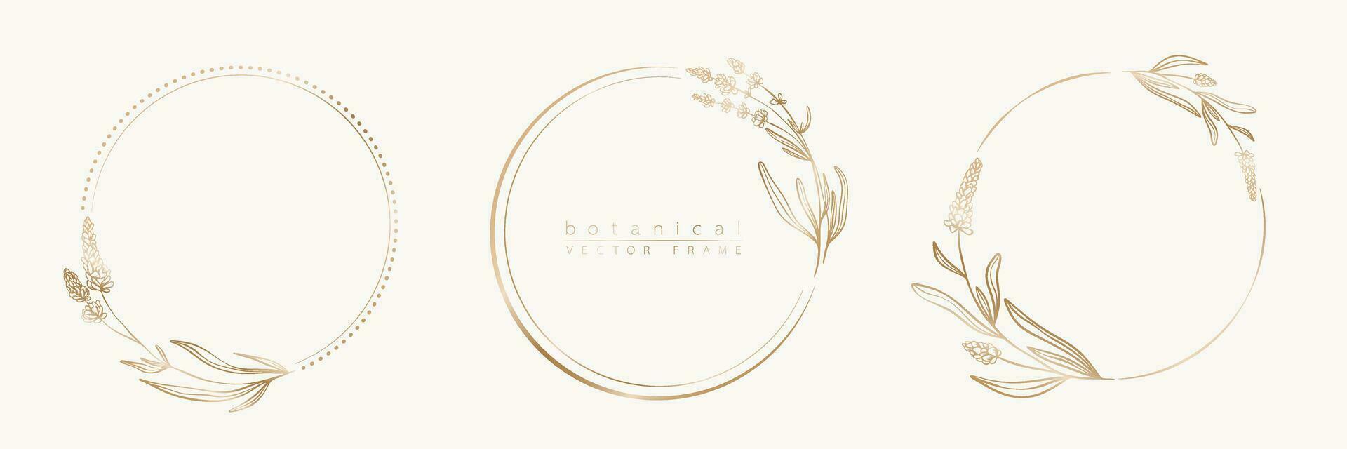 botanisch golden Kreis Rahmen Satz. Hand gezeichnet runden Linie Grenze, Blätter und Blumen zum Hochzeit Einladung und Karten, Logo Design, Sozial Medien und Plakate Vorlage. elegant minimal Blumen- Vektor. vektor