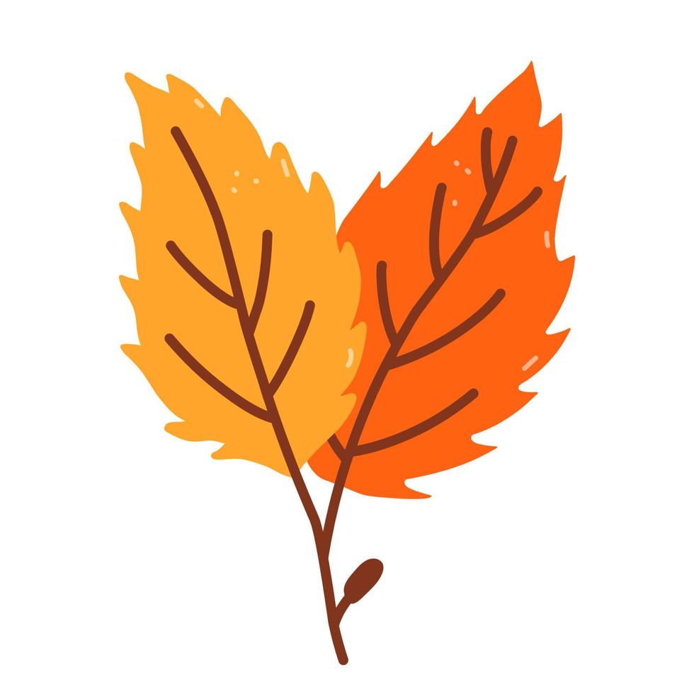 Zweig mit orangefarbenen und gelben Blättern auf weißem Hintergrund vektor