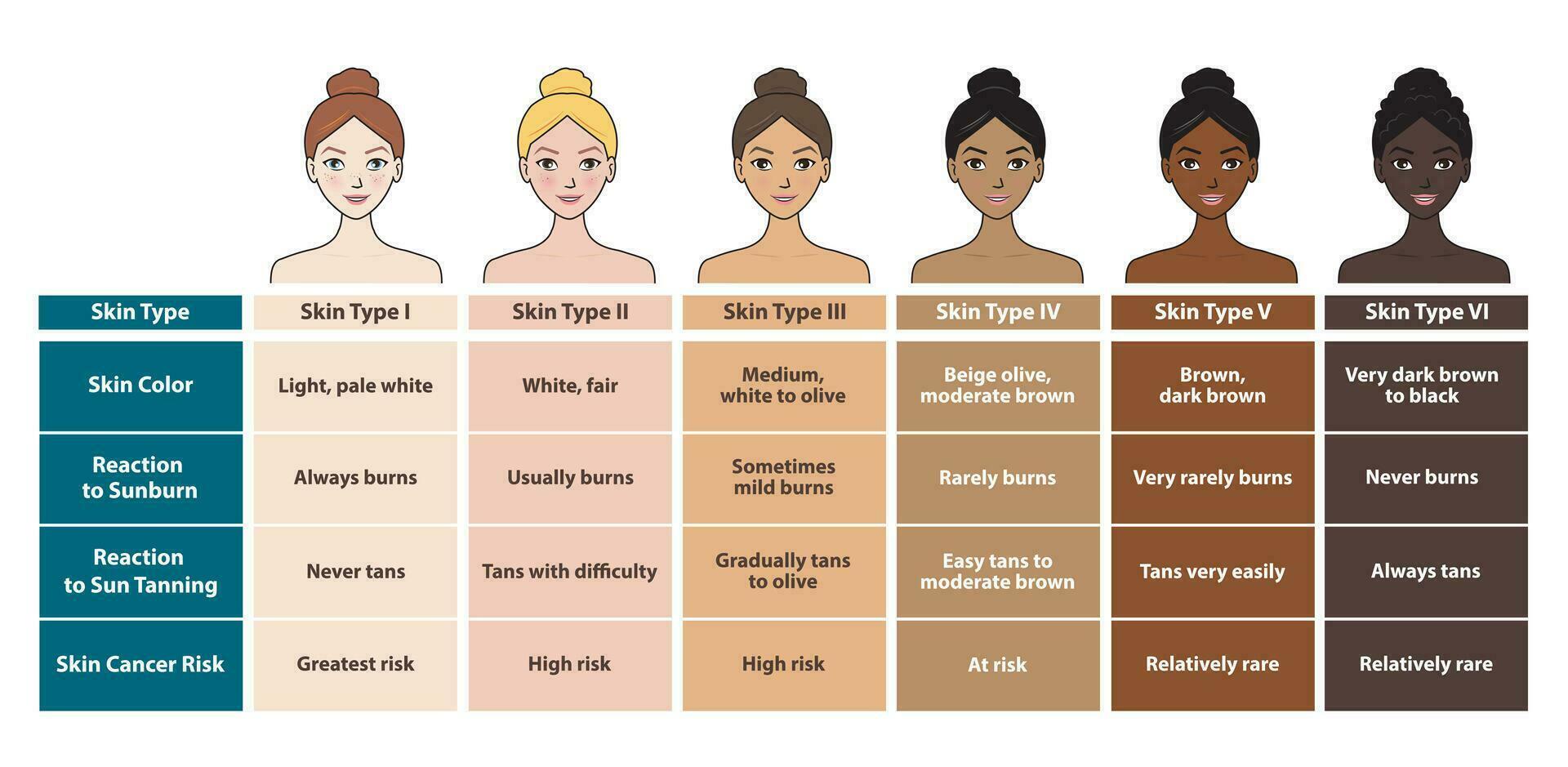 infographic av hud typer med söt tecknad serie karaktär vektor isolerat på vit bakgrund. diagram av etnicitet hud tona, Färg, reaktion till solbränna, garvning och hud cancer risk.