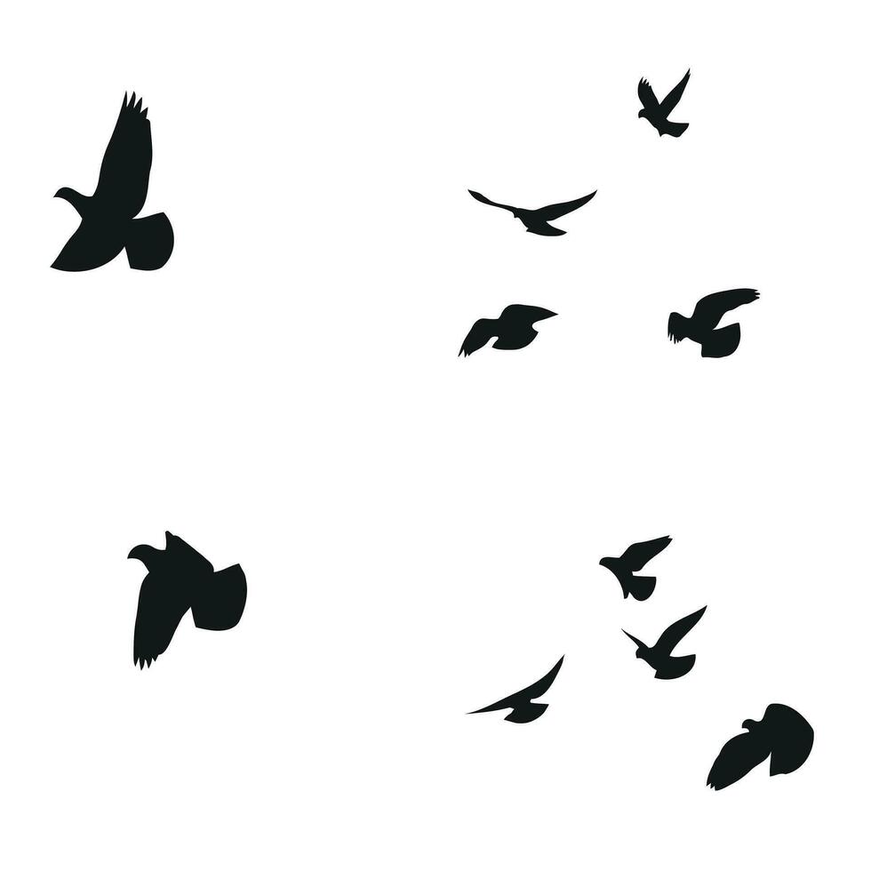 Silhouette skizzieren von ein Herde von fliegend Vögel, Flug im anders Positionen. schweben, hochfliegend, Landung, fliegend, flattern vektor
