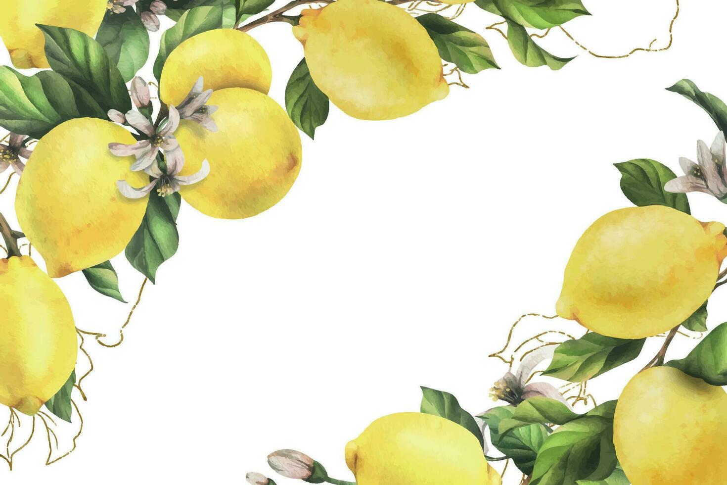 citroner är gul, saftig, mogen med grön löv, blomma knoppar på de grenar, hela och skivor. vattenfärg, hand dragen botanisk illustration. ram, mall på en vit bakgrund. vektor eps
