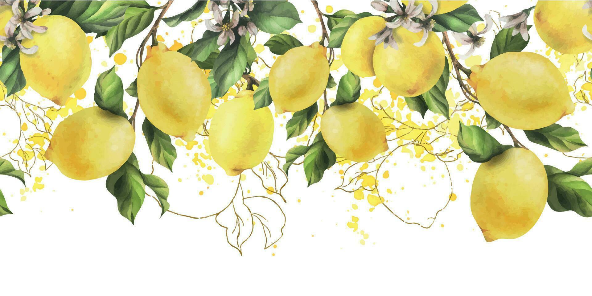 Zitronen sind Gelb, saftig, reif mit Grün Blätter, Blume Knospen auf das Geäst, ganz. Aquarell, Hand gezeichnet botanisch Illustration. nahtlos Rand auf ein Weiß Hintergrund vektor